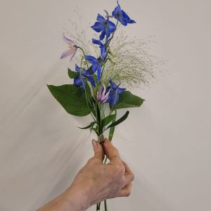 Himlens väktare handblomma