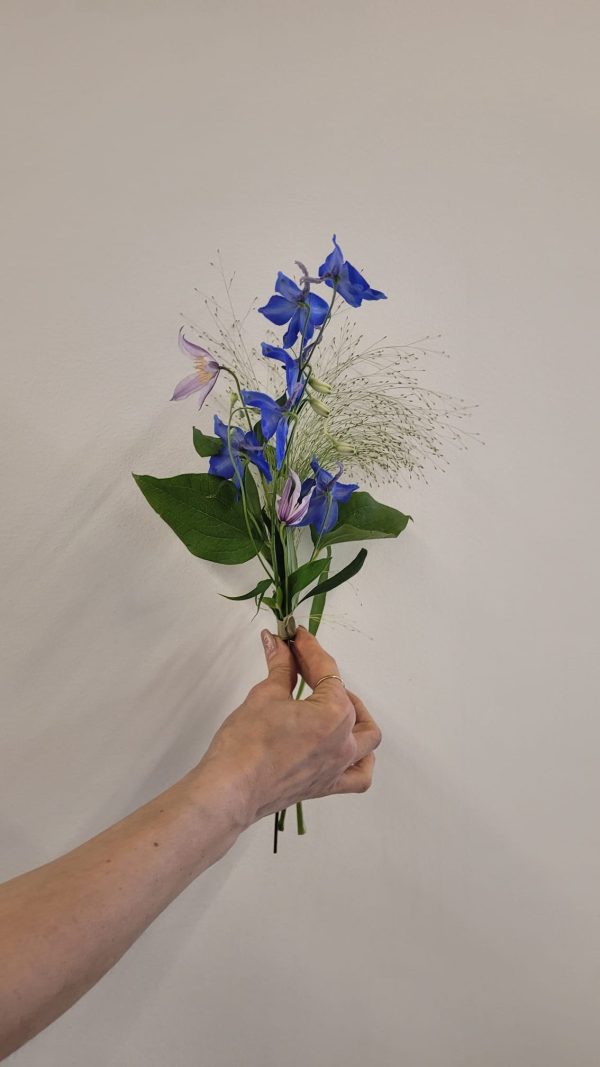 Himlens väktare handblomma