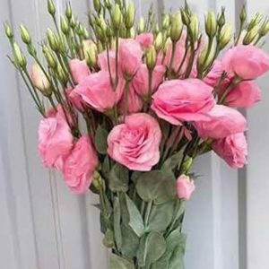 Prärieklocka rosa 60cm