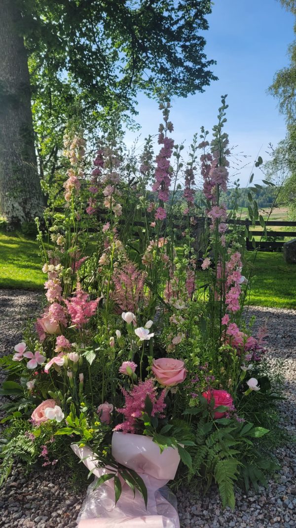 Himlens Väktare i rosa nyanser