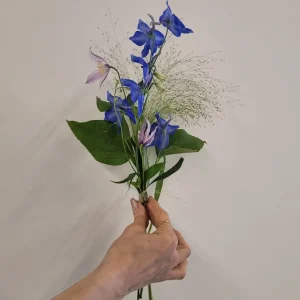 Himlens väktare handblomma