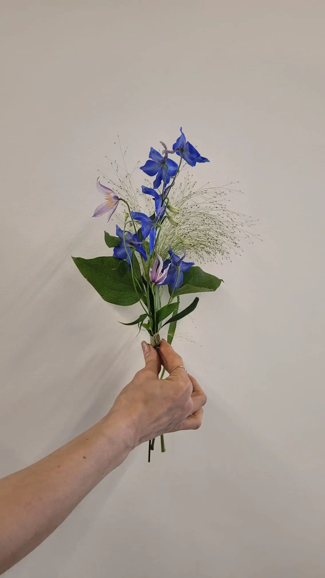 Himlens väktare handblomma