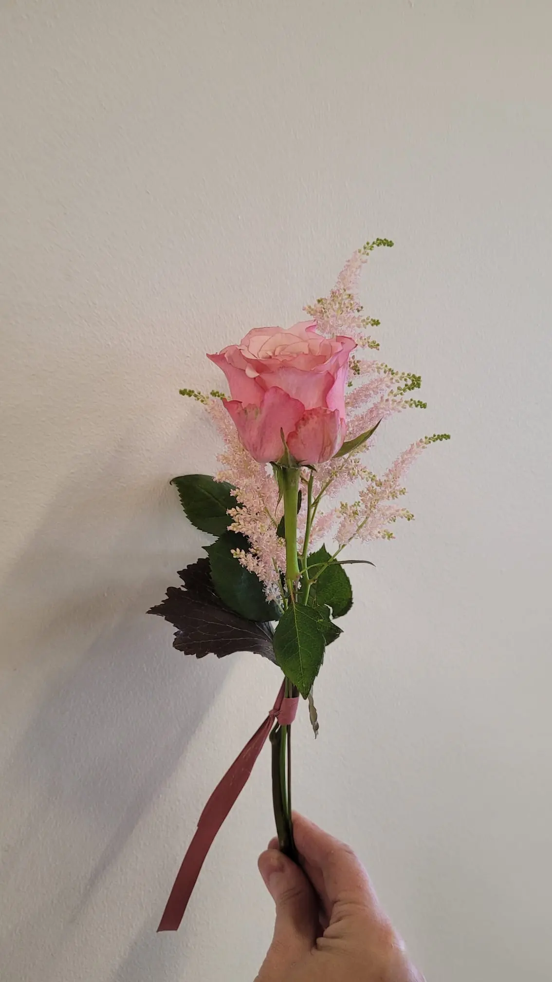 Himlens viskning handblomma